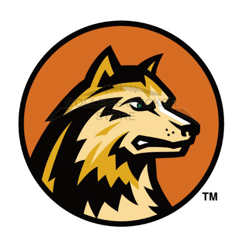 Diy Wright State Raiders Iron-on Transfers (Wall Stickers)NO.7050